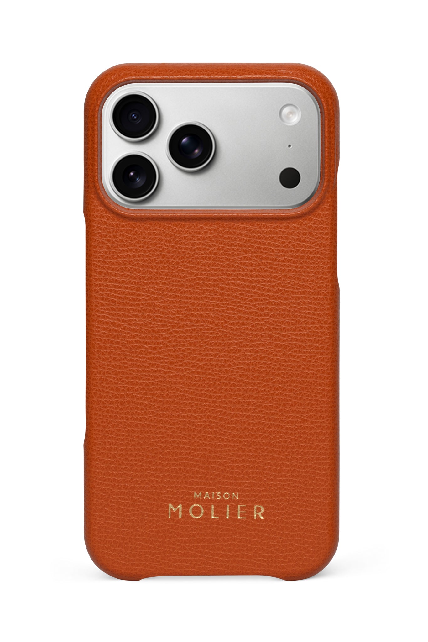 Arancio iPhone Case